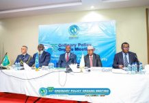 وزير الدفاع يدعو دول قوة شرق إفريقيا الاحتياطية لتعزيز التعاون وزير الدفاع يدعو دول قوة شرق إفريقيا الاحتياطية لتعزيز التعاون