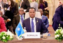 وزير الخارجية يشارك في منتدى الشراكة الروسية الأفريقية بالقاهرة