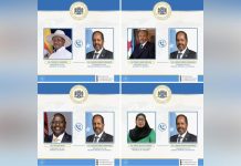 رئيس الصومال يبحث مع قادة أفارقة اعتراف إسرائيل بالإقليم الانفصالي