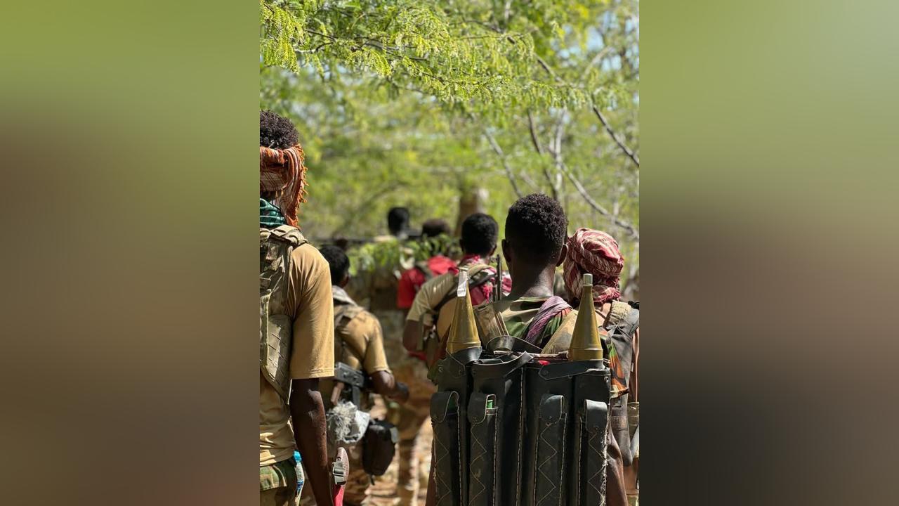 الجيش الوطني يستعيد السيطرة على مواقع استراتيجية في شبيلي السفلى الجيش الوطني يستعيد السيطرة على مواقع استراتيجية في شبيلي السفلى