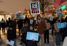 واشنطن تدقق في ملفات هجرة أميركيين صوماليين واشنطن تدقق في ملفات هجرة أميركيين صوماليين