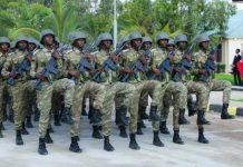 القوات الصومالية تفشل هجومًا لجماعة الشباب في شبيلى الوسطى القوات الصومالية تفشل هجومًا لجماعة الشباب في شبيلى الوسطى