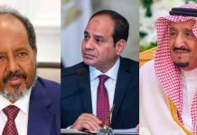 السعودية تجري محادثات مع مصر والصومال لتشكيل تحالف عسكري جديد السعودية تجري محادثات مع مصر والصومال لتشكيل تحالف عسكري جديد