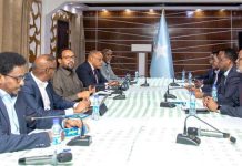 بدء أعمال الاجتماع الأول للجنتين الفنيتين للحكومة ومجلس المستقبل بدء أعمال الاجتماع الأول للجنتين الفنيتين للحكومة ومجلس المستقبل