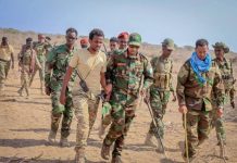 مقتل أربعة عناصر إرهابية في عملية عسكرية بإقليم شبيلي السفلى مقتل أربعة عناصر إرهابية في عملية عسكرية بإقليم شبيلي السفلى