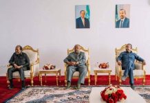 رئيس الجمهورية يصل إلى مدينة جيكجيكا رئيس الجمهورية يصل إلى مدينة جيكجيكا