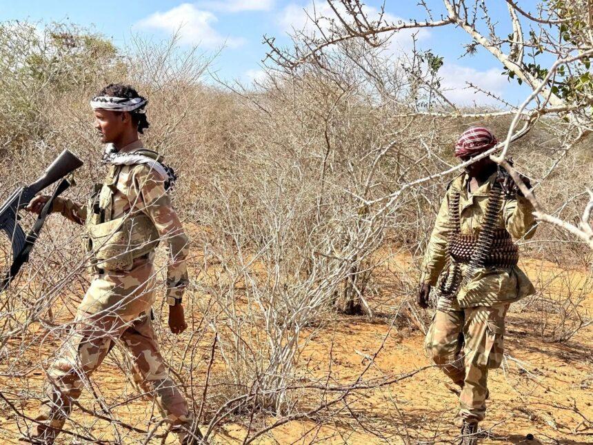 الجيش الوطني يشن عملية تمشيط بمحافظة شبيلى الوسطى الجيش الوطني يشن عملية تمشيط بمحافظة شبيلى الوسطى