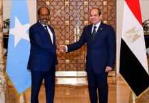 السيسي: ماضون في نشر قوات ضمن بعثة حفظ السلام بالصومال السيسي: ماضون في نشر قوات ضمن بعثة حفظ السلام بالصومال