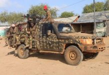 عملية عسكرية مشتركة تسفر عن مقتل 14 إرهابياً من ميليشيات الشباب عملية عسكرية مشتركة تسفر عن مقتل 14 إرهابياً من ميليشيات الشباب