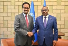 وزير الصناعة يلتقي بالمبعوث الخاص للأمين العام للأمم المتحدة وزير الصناعة يلتقي بالمبعوث الخاص للأمين العام للأمم المتحدة