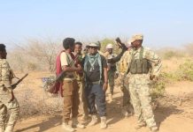 مقتل 9 عناصر إرهابية على أيدي الجيش الوطني مقتل 9 عناصر إرهابية على أيدي الجيش الوطني