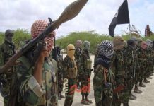 تقرير أممي: إعادة توجيه المقاتلين الأجانب من سوريا إلى الصومال تقرير أممي: إعادة توجيه المقاتلين الأجانب من سوريا إلى الصومال