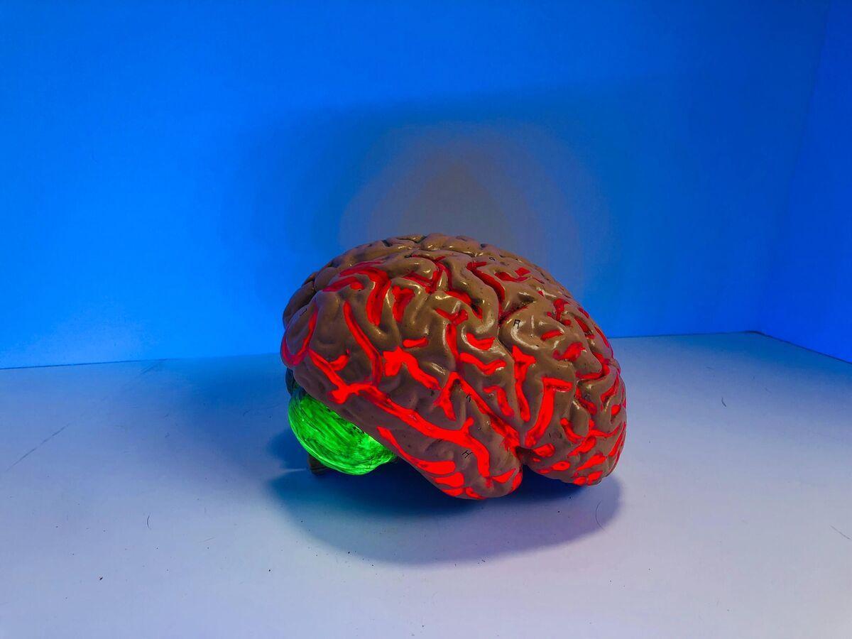 علماء روس يتحكمون بعمل الدماغ باستخدام الروبوتات 