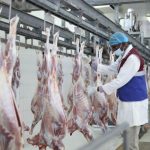 قطر الخيرية توزّع لحوم الأضاحي على آلاف الأسر في هرجيسا قطر الخيرية توزّع لحوم الأضاحي على آلاف الأسر في هرجيسا