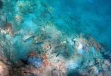 اكتشاف مدينة غامضة تحت البحر قد تسبق الأهرامات بآلاف السنين اكتشاف مدينة غامضة تحت البحر قد تسبق الأهرامات بآلاف السنين