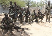 “أرض الصومال” تساوم أمريكا للحصول على اعتراف دولي "أرض الصومال" تساوم أمريكا للحصول على اعتراف دولي