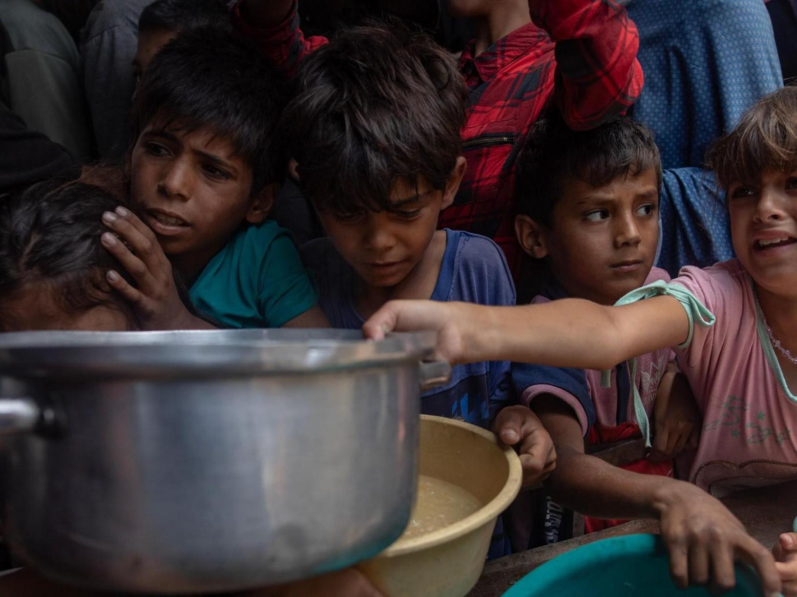 ذاكرة الجينات.. كيف يبقى أثر المجاعة في الجسد والدماغ أجيالا؟ ذاكرة الجينات.. كيف يبقى أثر المجاعة في الجسد والدماغ أجيالا؟