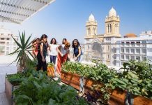 مكون قابل للتحلل الحيوي يحدث ثورة في الزراعة من دون تربة مكون قابل للتحلل الحيوي يحدث ثورة في الزراعة من دون تربة