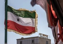 حاكم إقليم صوماليلاند: نتوقع إبرام اتفاقية تجارية مع إسرائيل حاكم إقليم صوماليلاند: نتوقع إبرام اتفاقية تجارية مع إسرائيل