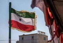 أرض الصومال تعيّن سفيرا فوق العادة لدى إسرائيل أرض الصومال تعيّن سفيرا فوق العادة لدى إسرائيل