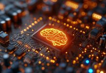 مستقبل مراكز البيانات خلايا دماغية بشرية مستقبل مراكز البيانات خلايا دماغية بشرية