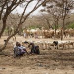6 ملايين يواجهون خطر المجاعة في الصومال 6 ملايين يواجهون خطر المجاعة في الصومال