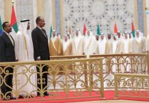 صفقات الموانئ والقواعد العسكرية.. من يقتسم القرن الأفريقي؟ صفقات الموانئ والقواعد العسكرية.. من يقتسم القرن الأفريقي؟