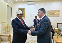 أرض الصومال تعلن استعدادها لإرسال جنود إلى غزة أرض الصومال تعلن استعدادها لإرسال جنود إلى غزة