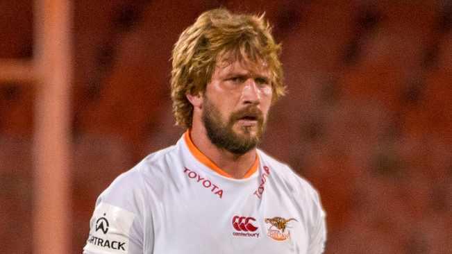 Expect a cat-fight of note when the Lions and Cheetahs clash in Bloemfontein Expect a cat-fight of note when the Lions and Cheetahs clash in Bloemfontein