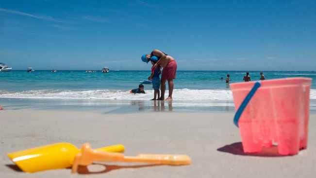 DA, Dlamini-Zuma to square off in court over Cape beach closures DA, Dlamini-Zuma to square off in court over Cape beach closures