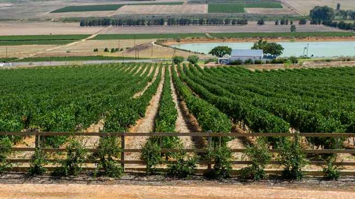 Jobs at stake as farmworker wage rises Jobs at stake as farmworker wage rises