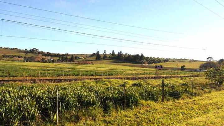 Land expropriation: Committee set to finalise bill on amendments to Constitution Land expropriation: Committee set to finalise bill on amendments to Constitution