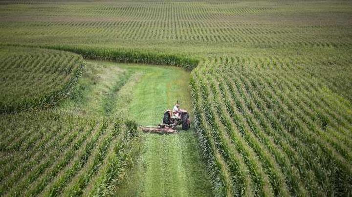 Agricultural exports record second-largest level on record in 2020 Agricultural exports record second-largest level on record in 2020