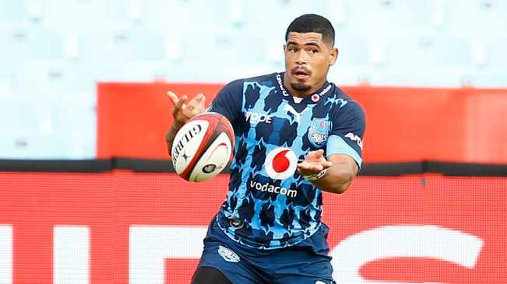 The Bulls have enviable depth, says coach Jake White The Bulls have enviable depth, says coach Jake White