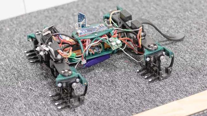 Robotic lizards could be the future of disaster surveillance, say researchers Robotic lizards could be the future of disaster surveillance, say researchers