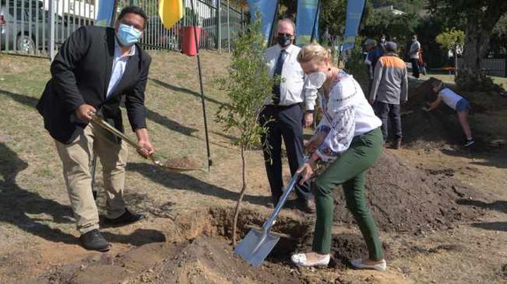 Cape Town takes part in global ‘Greening the Planet’ project Cape Town takes part in global ‘Greening the Planet’ project