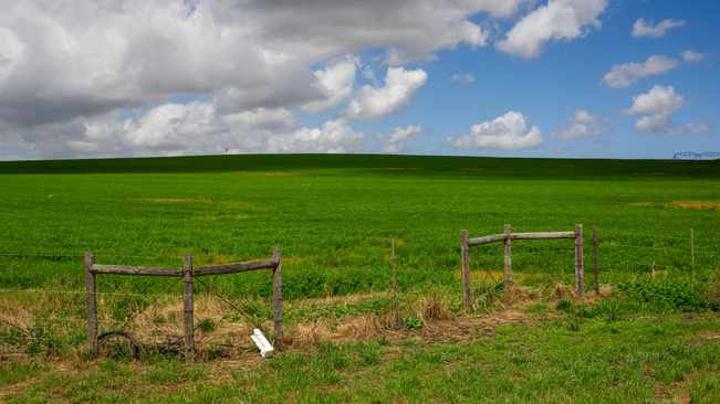 Bumper exports to test SA logistics, says Agbiz Bumper exports to test SA logistics, says Agbiz