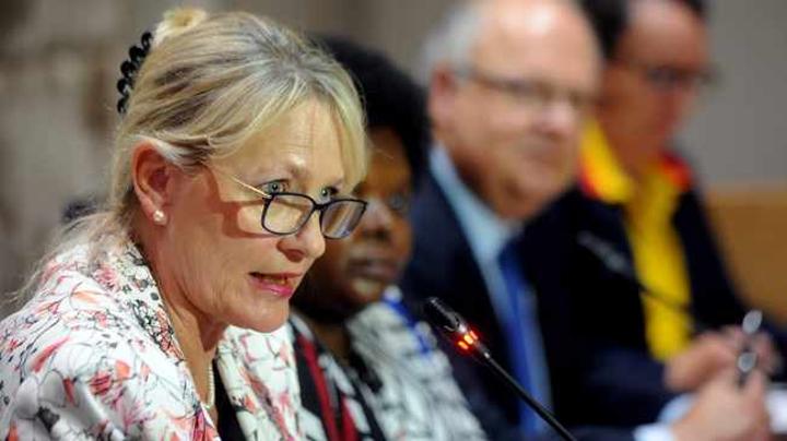 DA calls for review of Section 25 Ad Hoc committee’s oral submissions DA calls for review of Section 25 Ad Hoc committee’s oral submissions