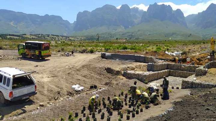 Vergelegen supports Biodiversity Day with R12 million project Vergelegen supports Biodiversity Day with R12 million project