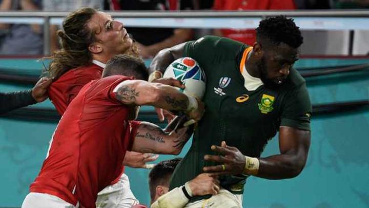 The Springbok blueprint will remain the same against Georgia - dominate, subdue, crush The Springbok blueprint will remain the same against Georgia - dominate, subdue, crush