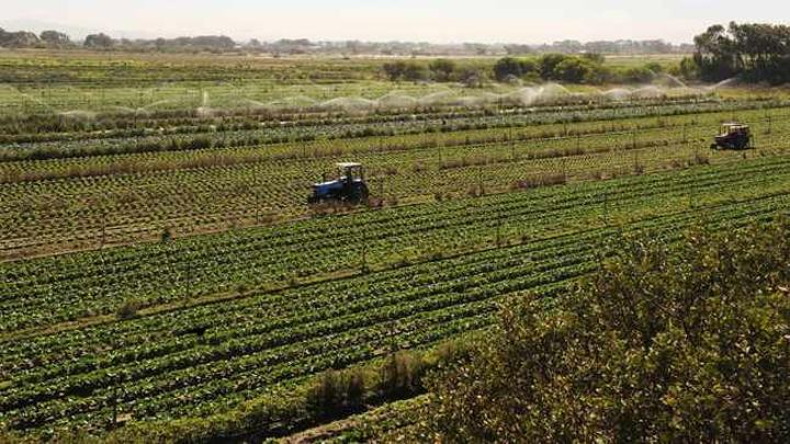 'The agriculture sector in SA is booming with employment opportunities' 'The agriculture sector in SA is booming with employment opportunities'