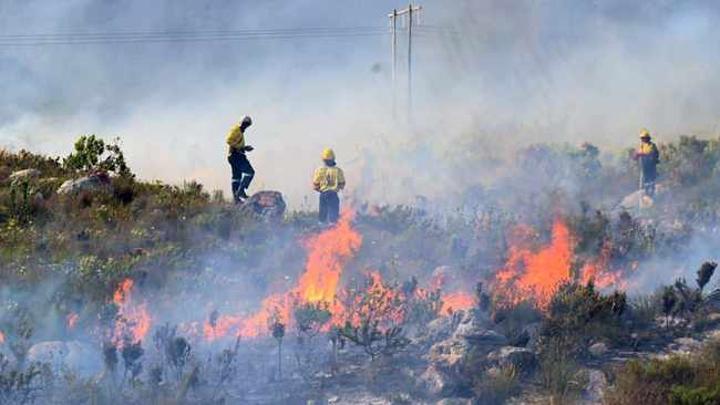 Over R10 million spent in the Western Cape on firefighting this summer season Over R10 million spent in the Western Cape on firefighting this summer season