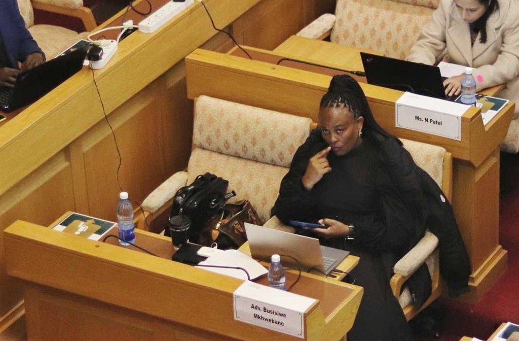 Mkhwebane never sought Van Loggerenberg's testimony when investigating 'rogue unit', committee hears Mkhwebane never sought Van Loggerenberg's testimony when investigating 'rogue unit', committee hears