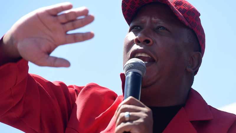 Report rape and GBV to the EFF- Malema