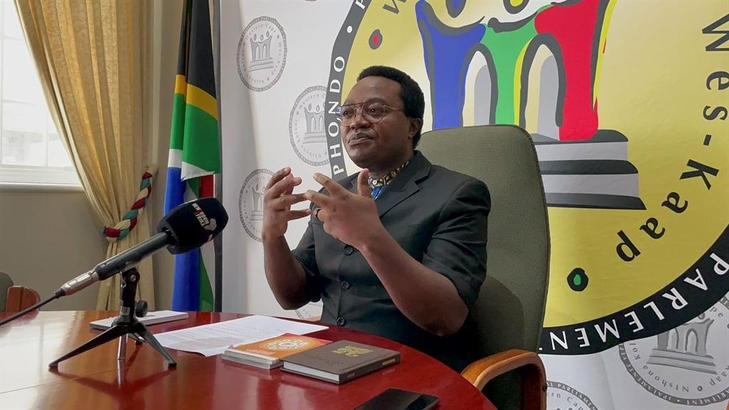 Western Cape legislature descends into chaos as DA grilled over Masizole Mnqasela's dismissal