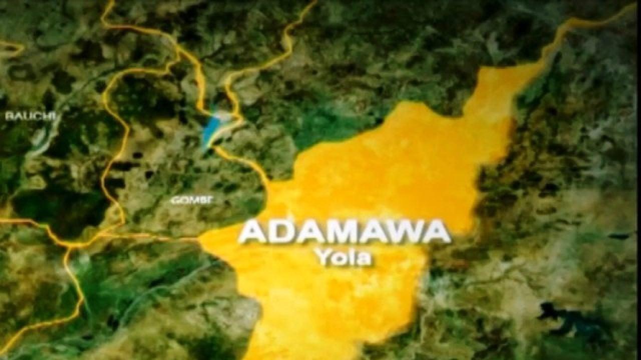Binani vs Fintiri: Nigerians react to controversial Adamawa supplementary election Binani vs Fintiri: Nigerians react to controversial Adamawa supplementary election
