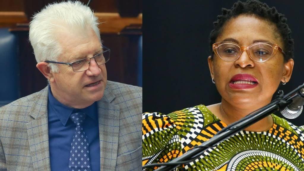 'Western Cape is not an independent republic': Minister slams Winde over Putin arrest comments