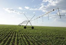 Govt insists race-based water licences are only for new applicants – but farmers disagree Govt insists race-based water licences are only for new applicants - but farmers disagree