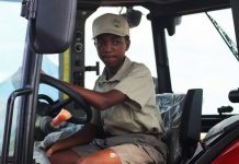 Meet the 12-year-old ‘farmer’, who is already planting seeds to tackle food insecurity Meet the 12-year-old 'farmer', who is already planting seeds to tackle food insecurity