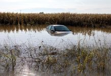 Floods wiped out quarter of Greek farm produce – experts Floods wiped out quarter of Greek farm produce - experts